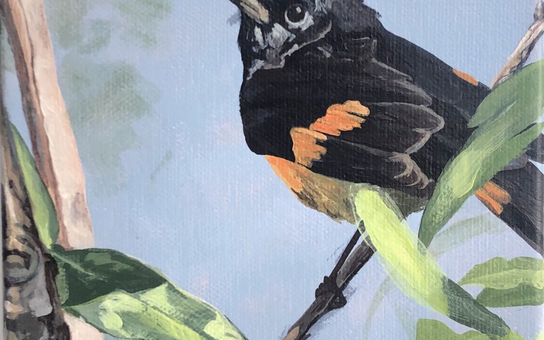 Look at the Birds, 7